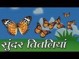 सुंदर तितलियां : Beautiful butterflies || Kids story in hindi || Moral story for kids