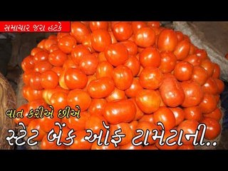 Video - જુઓ અનોખી બેંક - State Bank of tomato