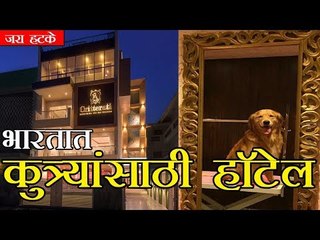 भारतात कुत्र्यांसाठी हॉटेल (dog hotel)