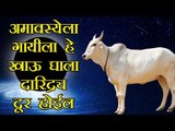 अमावस्याच्या दिवशी नक्की करावे हे 5 काम (Amavasya)