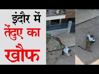 बीच शहर में तेंदुए का हमला। leopard attacks man