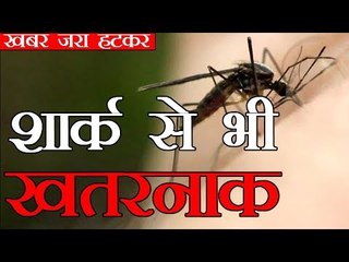 शार्क से भी खतरनाक होता है मच्छर