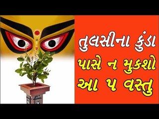 તુલસીના કુંડા પાસે ન મુકશો આ 5 વસ્તુ , નહી તો  થઈ જશો બરબાદ - Rule of keeping Tulsi