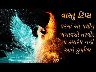 vastu tips - ઘરમાં આ પક્ષીની  લગાવશો તસ્વીર તો ક્યારેય નહી આવે દુર્ભાગ્ય
