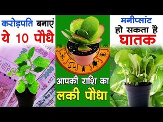 ऐसे 10 पौधे जो आपको करोड़पति बना देंगे