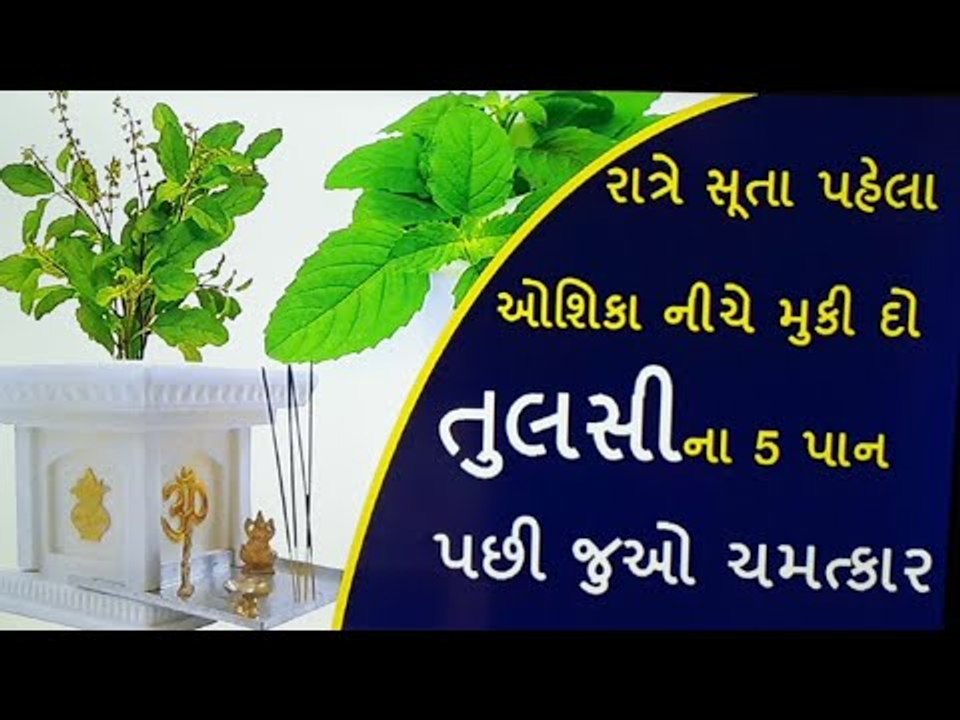 સૂતા પહેલા ઓશિકા નીચે મુકી દો તુલસીના પાન, થઈ જશો માલામાલ