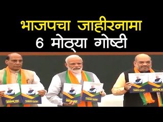 Lok Sabha Election 2019: भाजपचा संकल्प-पत्र