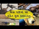 શ્રાદ્ધ પક્ષ દરમિયાન જો તમને આવુ દેખાય તો થશે ધનલાભ - Pitru Paksha