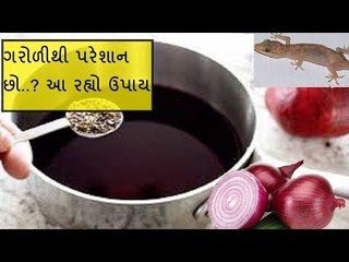 હોમ ટિપ્સ - ગરોળી ભગાડવાના ઉપાય -How do you get rid of lizards  in your house?