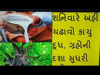 ગ્રહોની દશા સુધારવા અને પિતૃ દોષ દૂર કરવા શનિવારે કરો આ ઉપાય #Saturday'sWorship #પીપળાનીપૂજા #Dharm