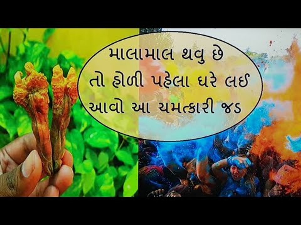 હોળી પહેલા લઈ આવો આ એક વસ્તુ, એટલો પૈસો આવશે કે સાચવી નહી શકો