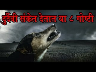 या 8 गोष्टींकडे मुळीच दुर्लक्ष करू नये, घडू शकतं अनिष्ट