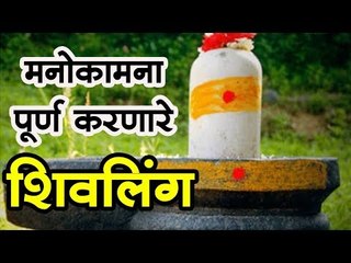 विशेष शिवलिंग पूजन केल्याने पूर्ण होईल मनोकामना