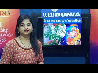 Shani Amavasya: केवळ एक झाड लावा, दोष मुक्त व्हा