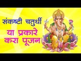 चतुर्थीला गणपतीची पूजा करण्यापूर्वी हे नक्की बघा (Sankashti Chaturthi)