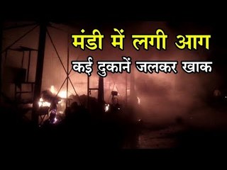मंडी में लगी आग, कई दु‍कानें जलकर खाक
