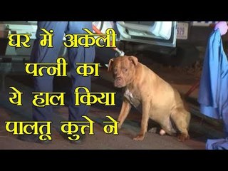 घर में पत्नी और कुत्ते को अकेला छोड़ गया था पति, घर लौटा तो होश उड़ गए