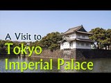 A Visit to Tokyo Imperial Palace