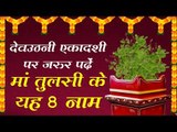 मां तुलसी के यह 8 नाम पढ़ लिए एकादशी पर तो मिलेगा वह सबकुछ जो आपने सोचा है