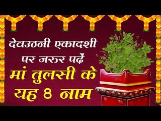 मां तुलसी के यह 8 नाम पढ़ लिए एकादशी पर तो मिलेगा वह सबकुछ जो आपने सोचा है