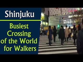 Shinjuku : Busiest Crossing of the World for Walkers