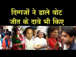 दिग्गजों ने डाले वोट जीत के दावे भी किए