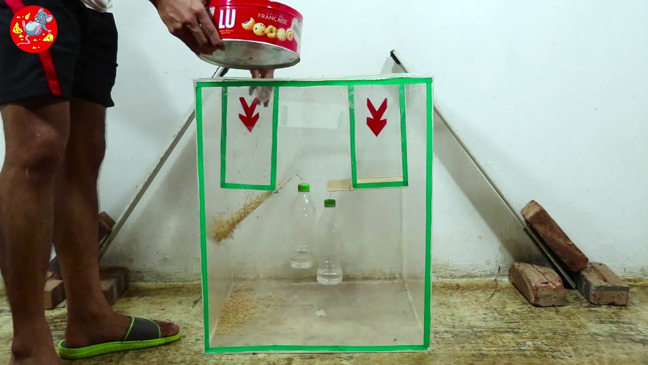 Mouse Trap With Scrap and Plastic Box - New Type MouseTrap - Ideas Mouse Trap 2019