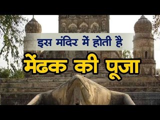 200 साल पुराने इस मंदिर में होती है मेंढक की पूजा, जानिए इसके पीछे का रहस्य
