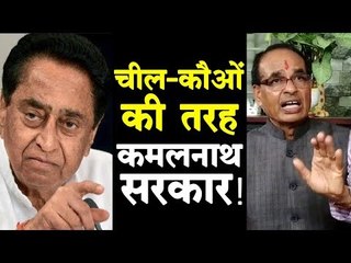 चील-कौओं की तरह कमलनाथ सरकार !, शिवराज का कमलनाथ सरकार पर बड़ा हमला