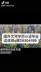 【回国人员文凭学历认证Q/微29304199】布鲁内尔大学文凭毕业证成绩单Brunel毕业证成绩单offer学位证书录取通知书,雅思托福成绩单,在读证明/留信网认证/使馆认证公正Brunel University London