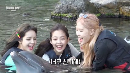 2019 BLACKPINK's Summer Diary in Hawaii - Dolphin Quest Oahu CUT (NO SUB)