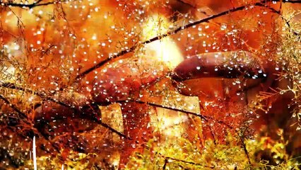 Conoce El Tiempo de Hoy Sábado 21 de Septiembre de 2019