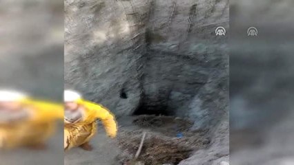 Rüyalarında gördükleri yeri kazan 'define avcıları' yakalandı