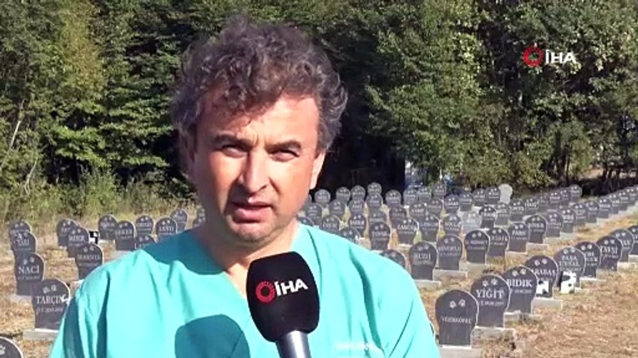 Samsun'da evcil hayvan mezarlığı ile hastalıklar önleniyor