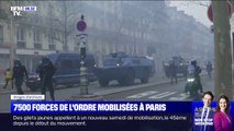 Mouvement des gilets jaunes : comment les forces de l'ordre se préparent à la manifestation parisienne?