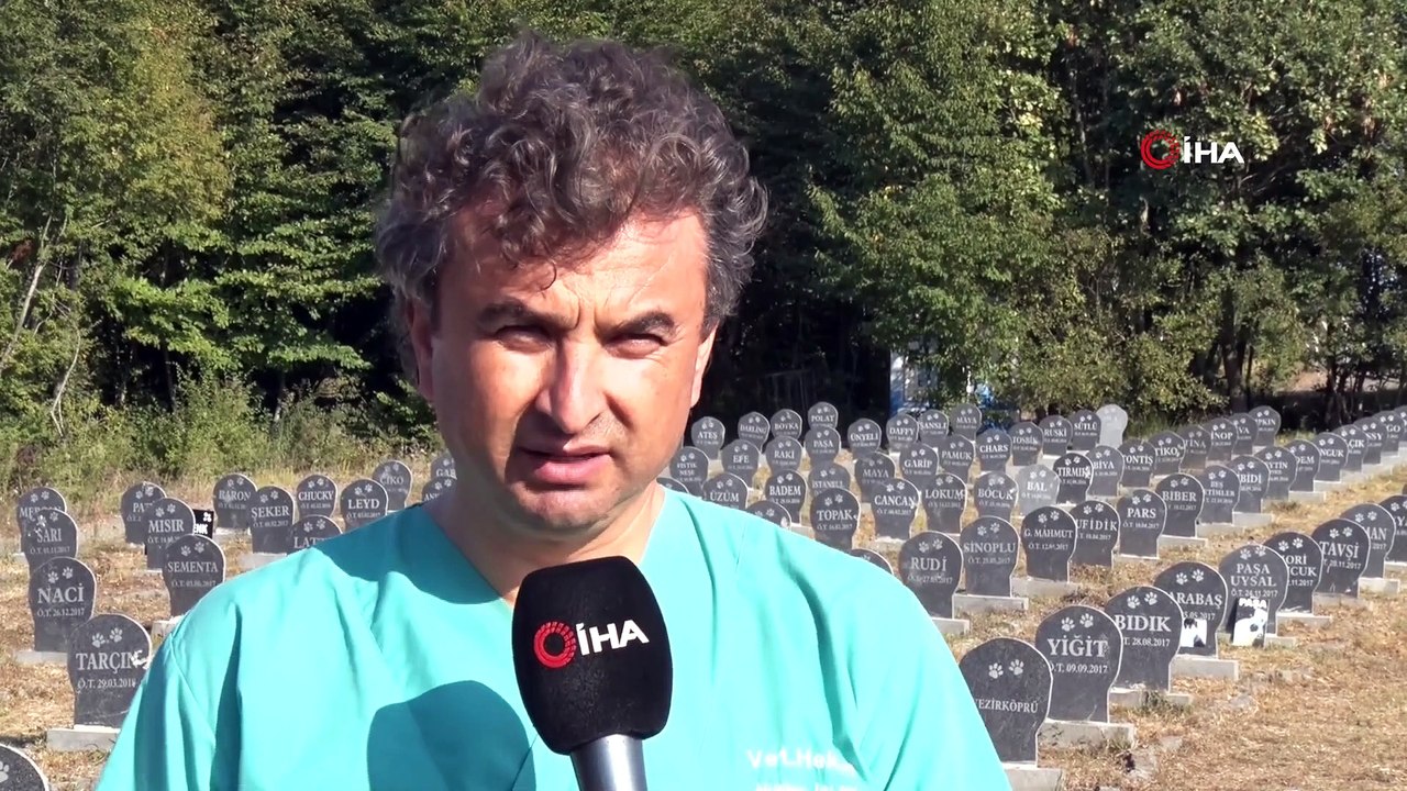 Halk Sağlığını Korumak İçin Yapıldı, Evcil Hayvan Mezarları Havadan Görüntülendi