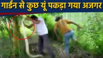 Vadodra के  Nimeta Garden में घुसे Python का Rescue Operation,watch video | वनइंडिया हिंदी