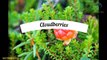 Cloudberry super fruit surprising Health Benefits and harm to the health of the body -Nuturemite English