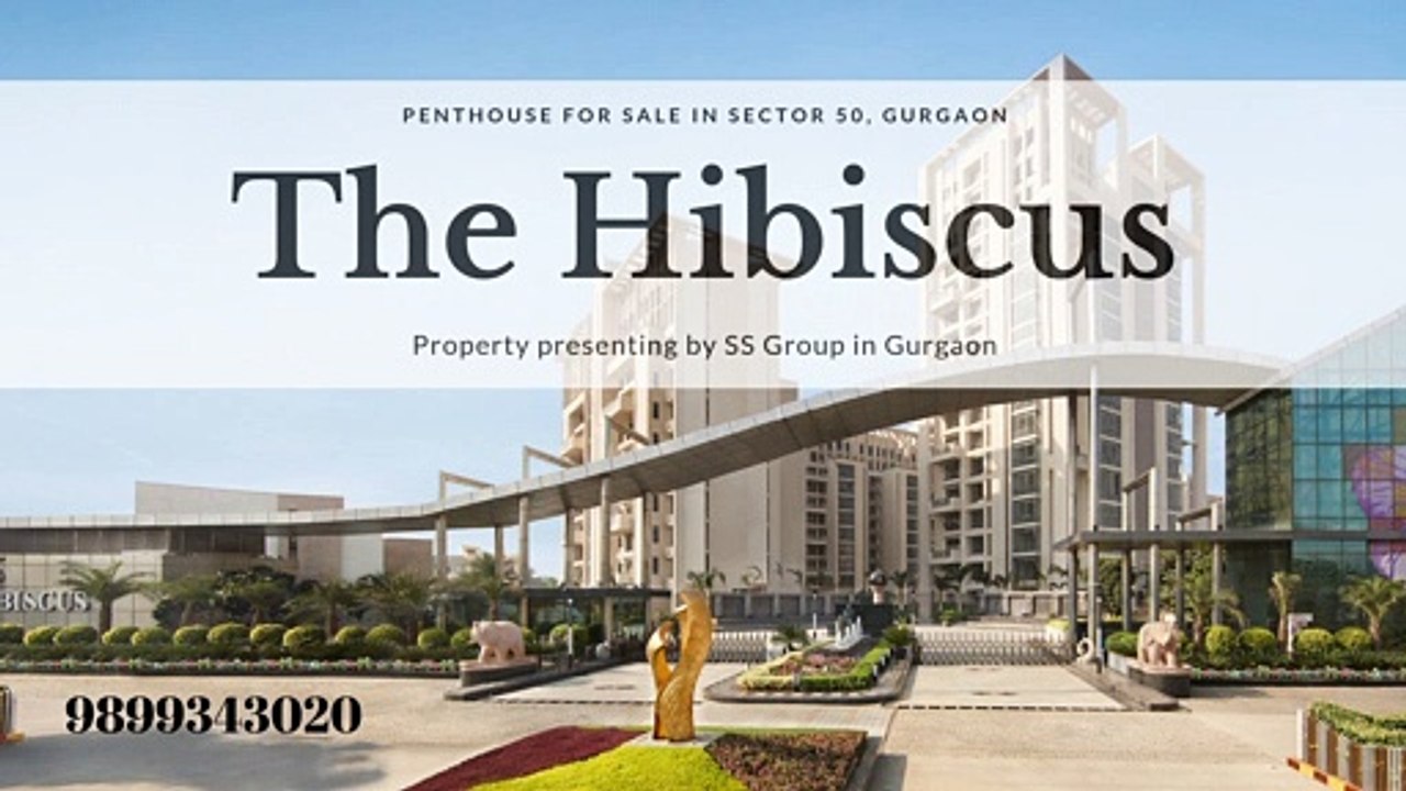The Hibiscus Sector 50 by SS Group Gurgaon