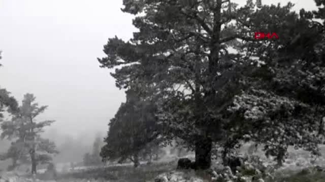 Gümüşhane silve yaylası beyaza büründü