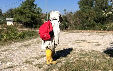 Kızını köpeklerden korumak isteyen babadan ilginç çözüm!