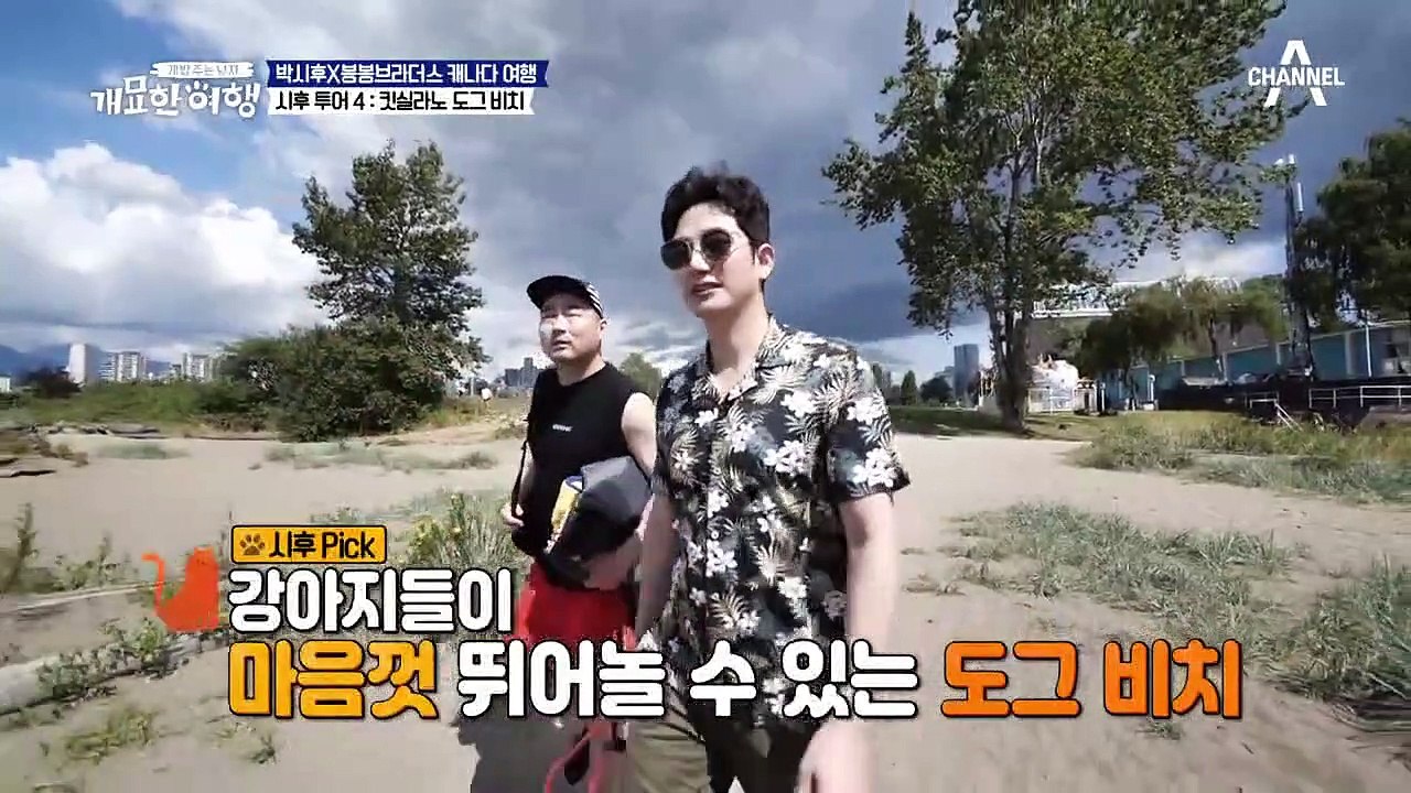 견생 최초 바다에 가다! 캐나다 해변을 본 토종견 봉구의 반응은?!