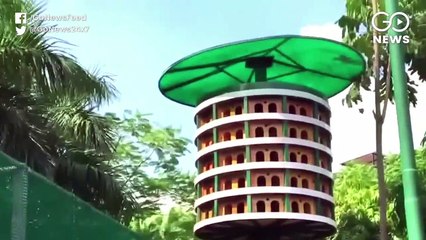 Innovative Bird House Built By Ghaziabad Development Authority
