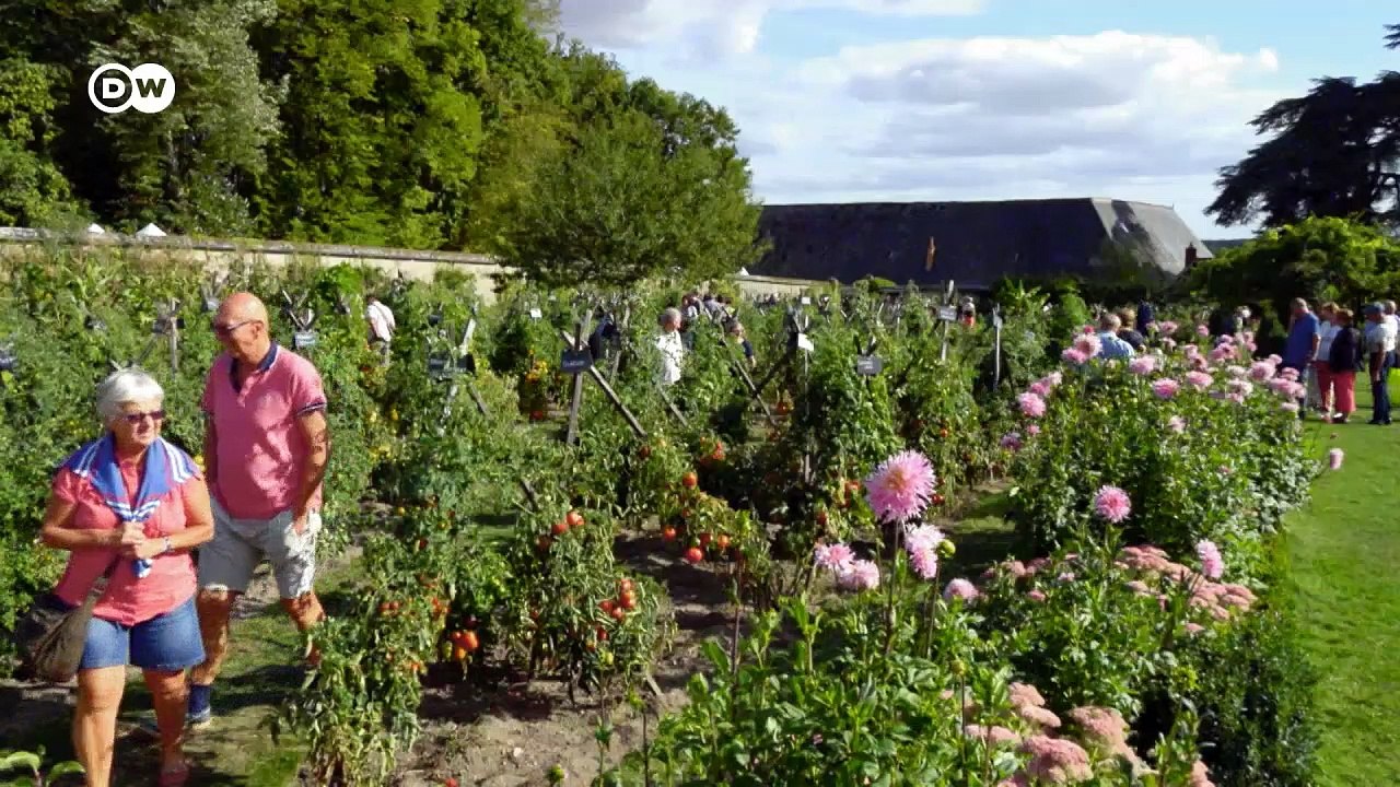 Hommage an die tomate | euromaxx