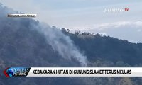 Kebakaran Hutan di Gunung Slamet Terus Meluas