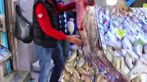 Samsun'da sezonun en büyük yayın balığı 130 kilo