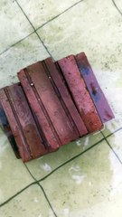 Small Snakes Find Home in Stack of Bricks