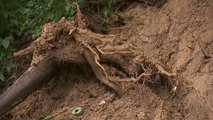 폭우 동반 태풍에 산사태 위험↑...대비법은? / YTN