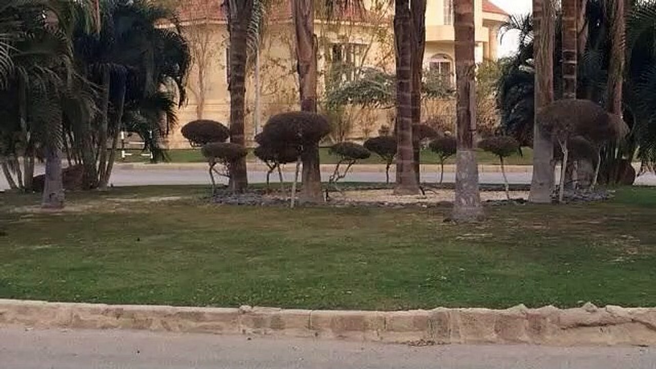 Luxurious Villa in 6th of October City  Royal Hills   2000 SQM