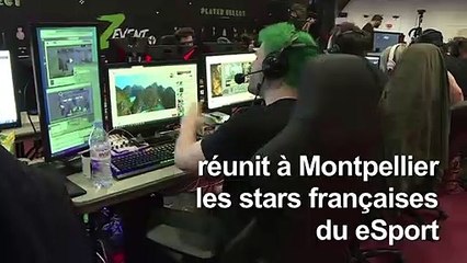 "Z event", le marathon caritatif des stars du jeu vidéo